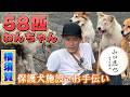 山口達也　58匹のワンちゃんがお出迎え！保護犬施設でお手伝いのサムネイル