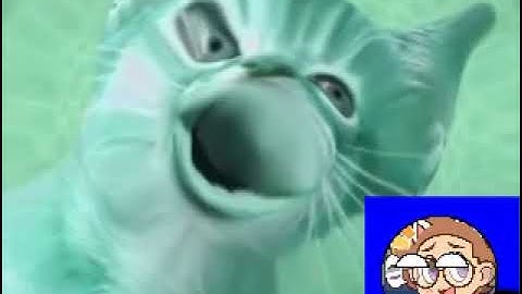 Preview 2 Numa Cat 2022 V1 5 Center Effects