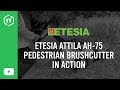 Etesia attila ah75 pedestrian brushcutter in action