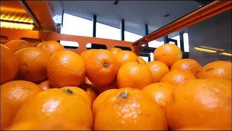 Freshly Squeezed Orange Juice Vending Machine