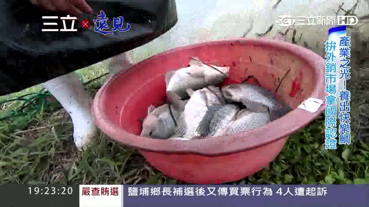 台灣鯛熬出頭 獲全球最高門檻asc認證走出國際拼外銷 財經 三立新聞網setn Com