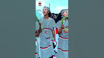 Aseesaa Goofareen Goota 