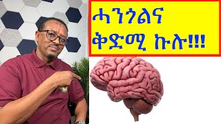 ኩሉ ድሕሪ ሓንጎልና!!! ንጥዕና ሓንጎልና 11 ነጥብታት!!!