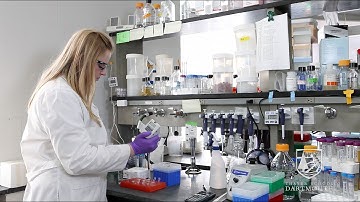 Dartmouth PhD Innovation Program: Regina Salvat