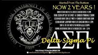 DSP Rho Chi Recruitment Video Fall 2014