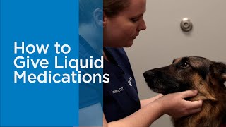 How To Give Your Cat or Dog Liquid Medication at Home
