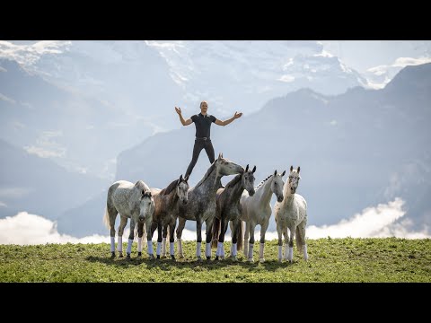 Video: Kommer klöver grundare en häst?