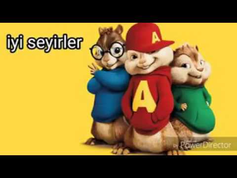 Alvin ve sincaplar cevapsıs çınlama