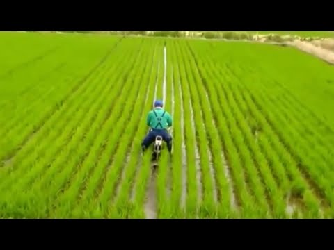 Amazing Primitive Technology - World Modern Agriculture Progress