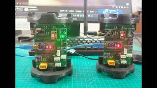 Rocket Flight Computer.