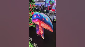 Creative Shaped LED Display Screen Solutions【LCF】