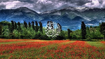 وديع اليمني - سورة يوسف