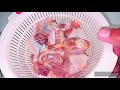 How to Steamed Chicken with Black focus and A Dip sauce ?