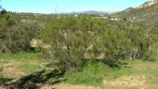 Exa Ely Road Acreage For Sale In Hemet