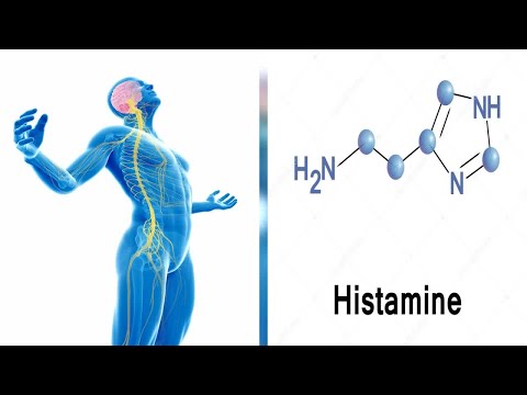 ✅-histamina---czym-jest,-funkcje,-co-ma-wspólnego-z-alergią