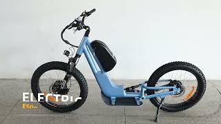 Introducing The Ultimate Electric Scooter The Hot Sale Big Wheel Scooter