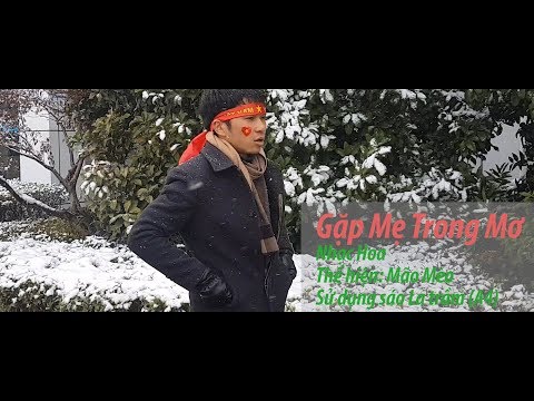 Video Gặp Mẹ Trong Mơ Sáo Trúc mão mèo - YouTube