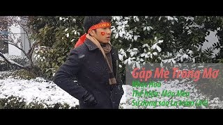 Gặp Mẹ Trong Mơ  Sáo Trúc mão mèo