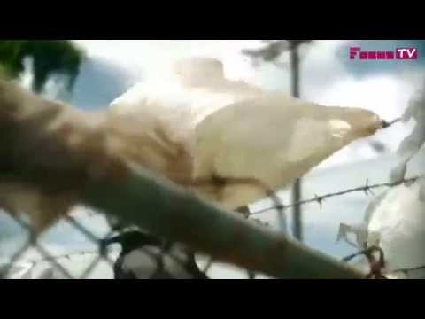 ნუ იყიდით პოლიეთილენის ცელოფანს!