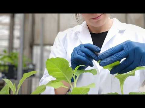 Viroids – the smallest causers of big problems