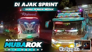 SENSASI MALAM NAIK BUS BANTER‼️Trip Sahabat Mubarok kreo Menuju Cirebon bertemu Bus Pelari Merak 