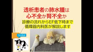 透析患者の肺水腫は心不全か腎不全か(診療の流れからEF低下時の対応まで循環器内科医が解説します)