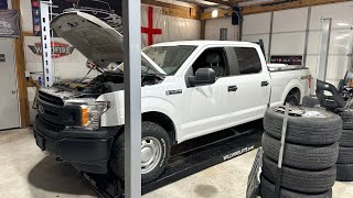 Can Liqui Moly Save my $10000 ford F150 Engine or is it too Late?