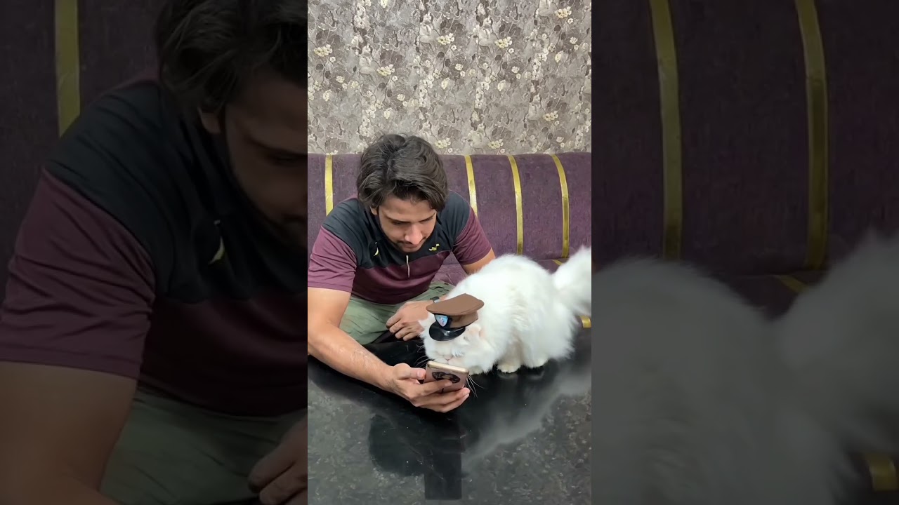 Billu The Spy 3|| funny cat and dog video || 