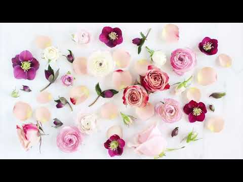 花束 Hanataba — Mika Nakashima 中島美嘉 (Lyrics English Translation 英語訳 歌詞付き)