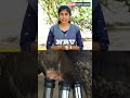 விவசாயிகளின் பெஸ்ட் ஃப்ரெண்ட் - Bestie Milking Machine 🤝#smartfarming #farming #farmmachinery