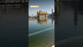 #guruji #gurbanishabad #amritsar #canada #goldentemple #games #gurujigaming #punjabi #virel #500k