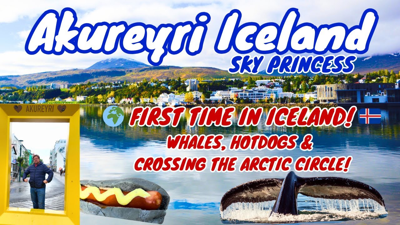 Akureyri Iceland | Sky Princess Cruise Vlog | Arctic Circle Crossing, Whales & Icelandic Hotdogs!