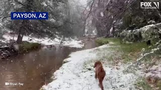 Winter Wonderland In Payson