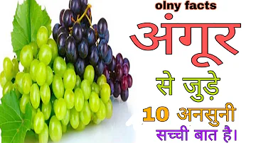 अंगूर के बारे में10 कुछ इंटरेस्टिंग फैक्ट्स! 👍10 some interesting facts about grapes!