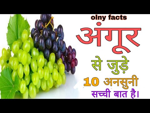 अंगूर के बारे में10 कुछ इंटरेस्टिंग फैक्ट्स! 👍10 some interesting facts about grapes!