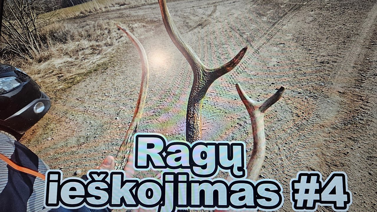 Ragų ieškojimas #4