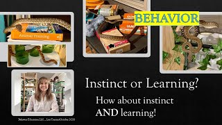 Instinct and Learning