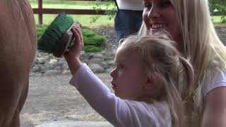 25 Years Of Once Upon A Horse