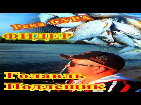 Подлещиное гнездо. Голавль.