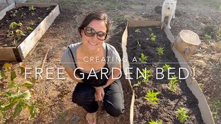 Making a garden bed for FREE and planting peppers and sweet potato slips we started together!