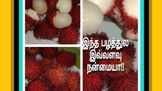 Rambutan fruit health benifits in tamil/ரம்புட்டான் பழத்தின் ஆரோக்கிய நன்மைகள்