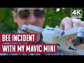 The Bee Incident with my DJI Mavic Mini (4k)