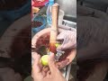 Khmer bok lohong | Snack #shorts