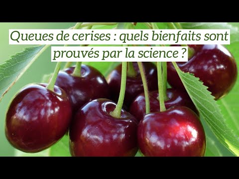 Vidéo: Pourquoi Les Cerises Sont Utiles