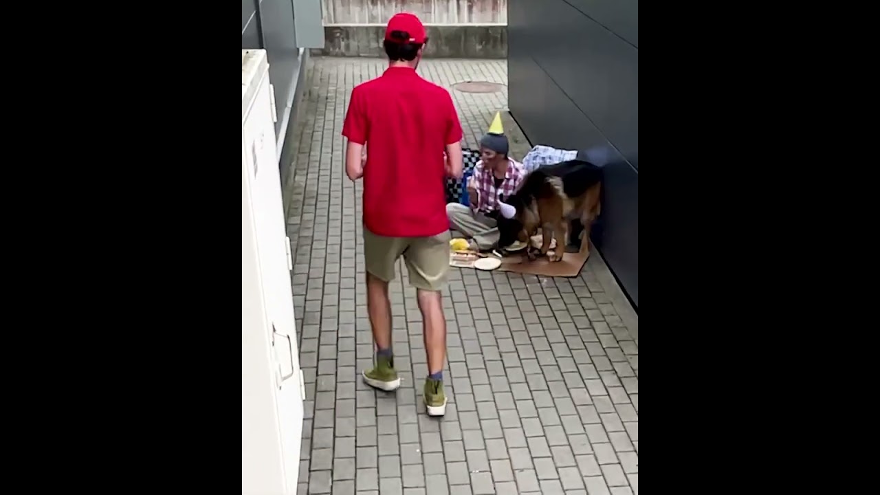 Doggie"s birthday is a joy no matter where