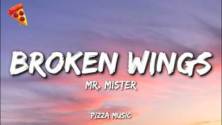 Mr. Mister - Broken Wings (Lyrics) screenshot 5