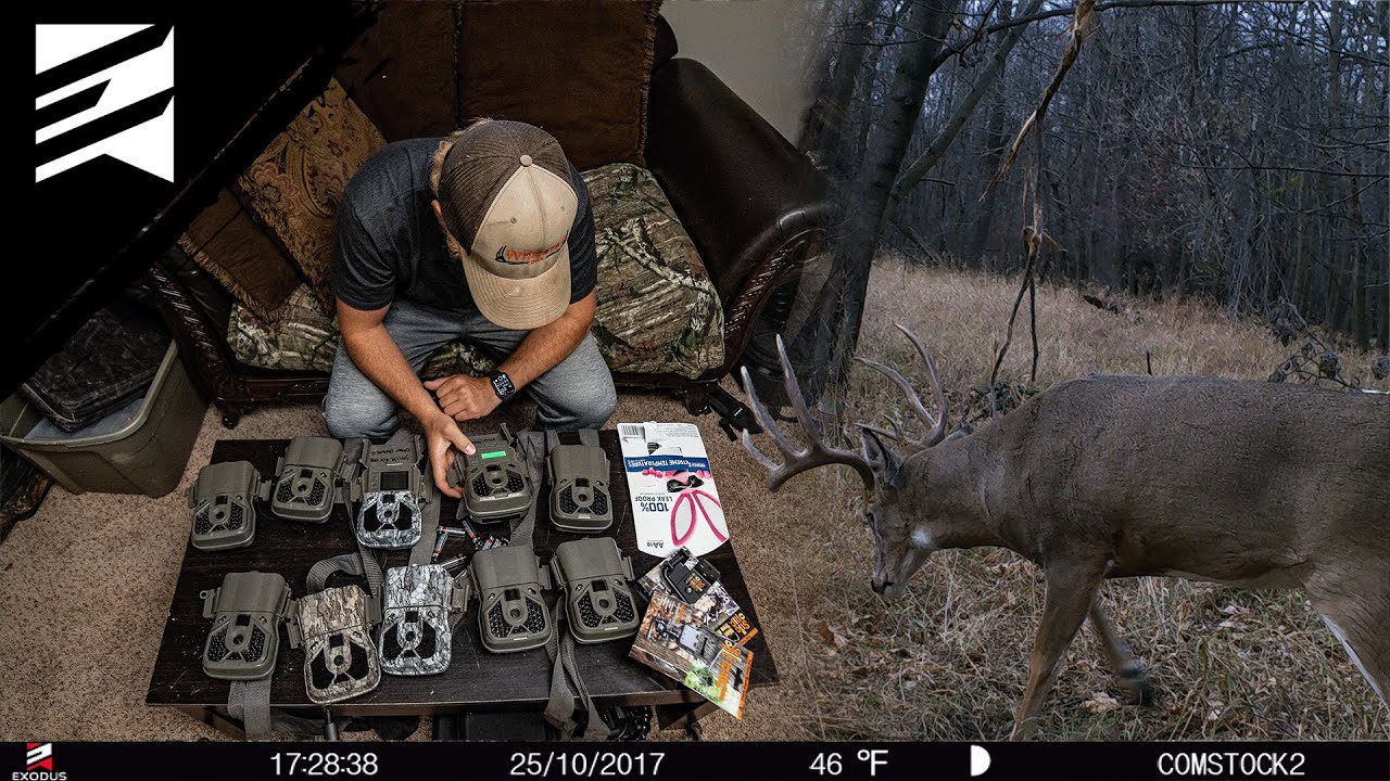 Too Many Trail Cam Pics? Try This For Organization