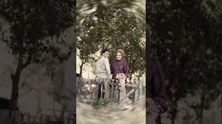 IMG 4052