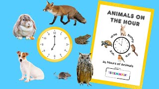 Animals On The Hour - Time To The Hour Read Aloud Math Analog Clock Animals