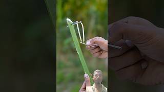 Creative new nail irone and Dateplam stick using toys  #bamboo #woodcrafts #toys #craft  #Bambooart